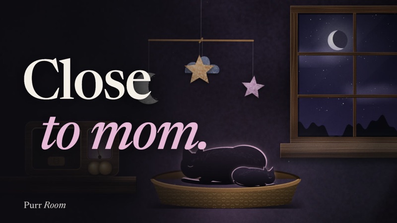 A mother cat and kitten asleep in a wicker basket under a felt mobile.