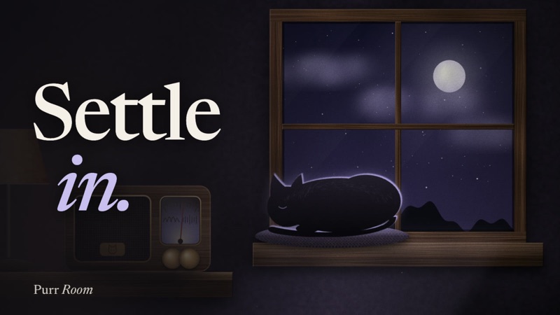 A cat asleep on a cushion on a moonlit windowsill, with the words Settle in.
